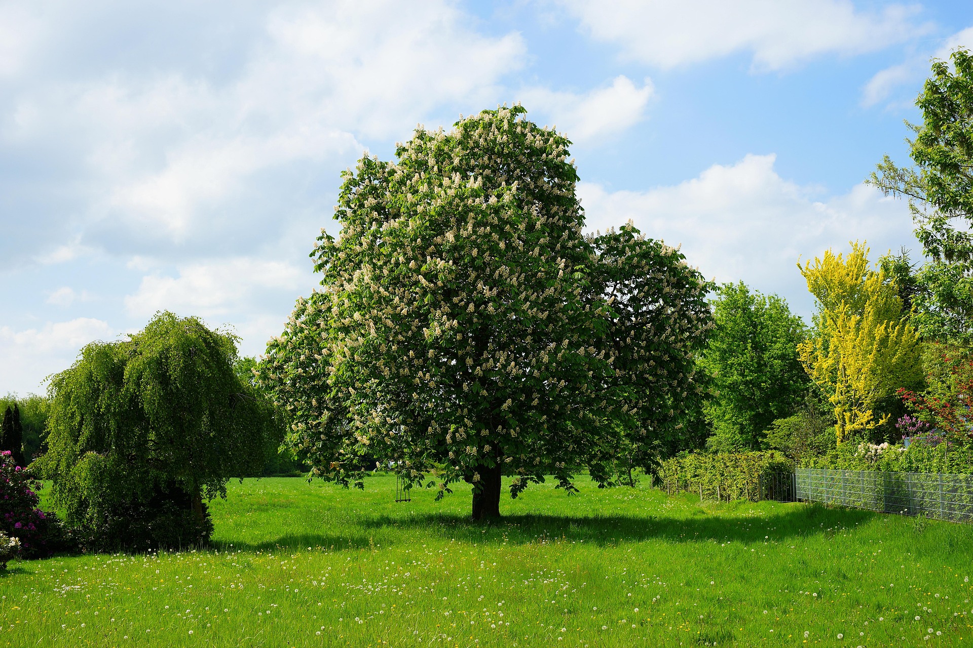Baugrundstück